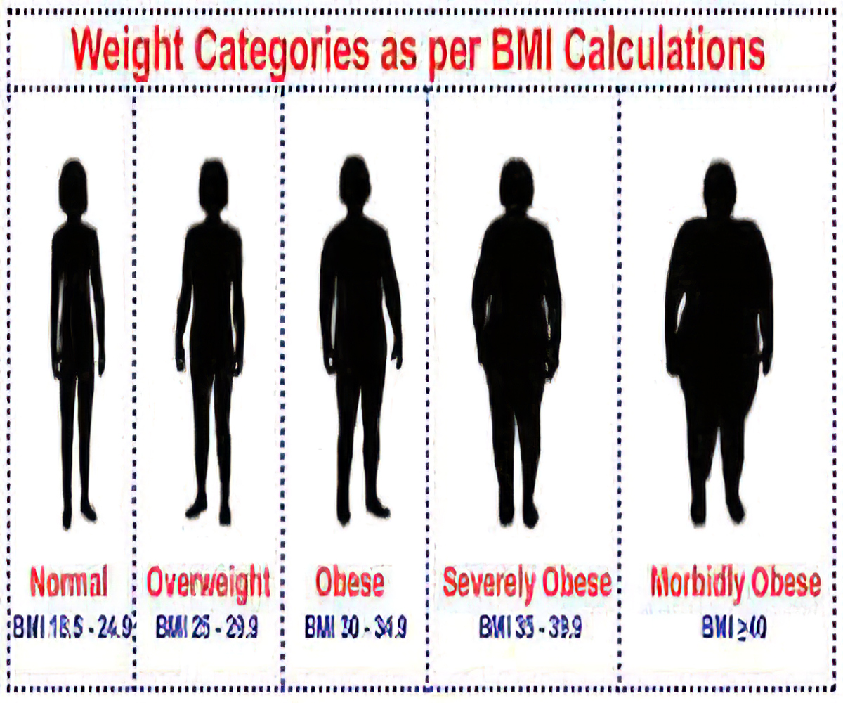 Calculating Bmi By Hand Body Mass Index Bmi Ranges Calculation Flaws And Weight Loss Everyday