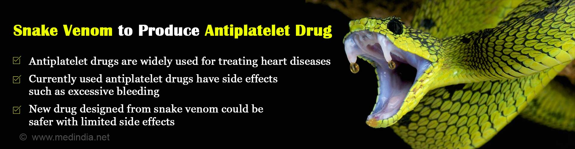 New Safer Antiplatelet Drug From Snake Venom