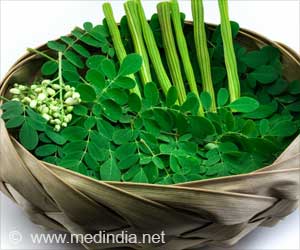 Drumstick / Moringa Leaves