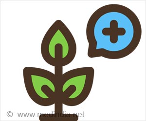 Herbal Plants List & Medicinal Plant Uses