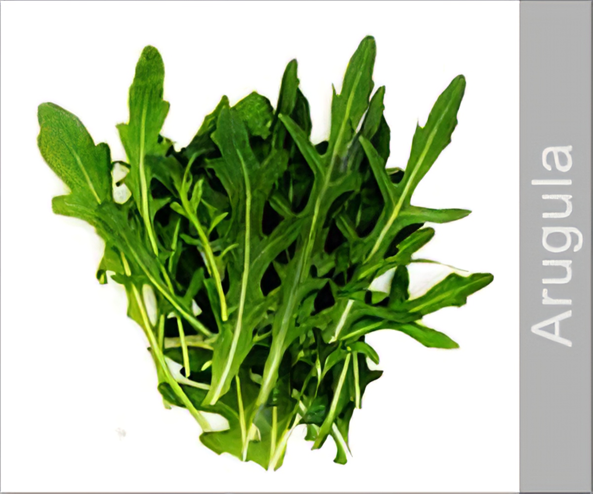 Arugula Home Remedies and Beauty Tips Glossary
