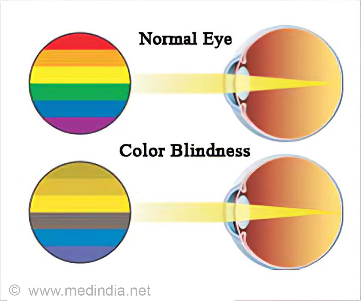 Eye Color Chance Chart