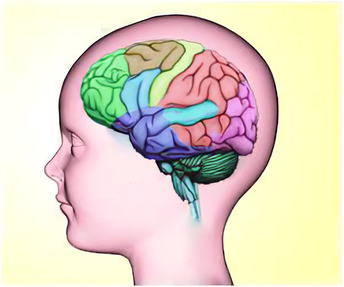 Brain 45. Эпилепсия головной мозг.