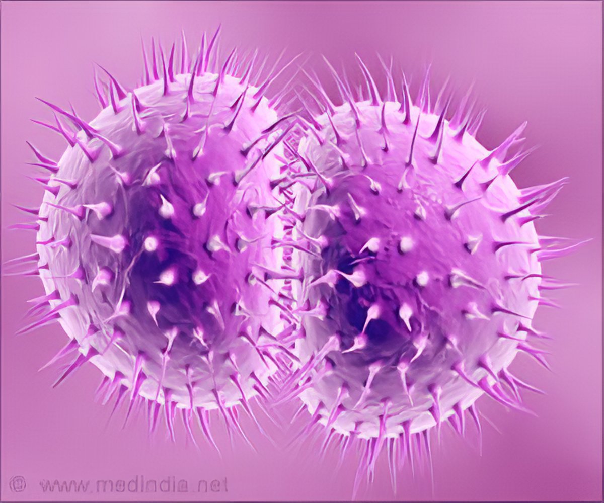 super strain gonorrhea caused by