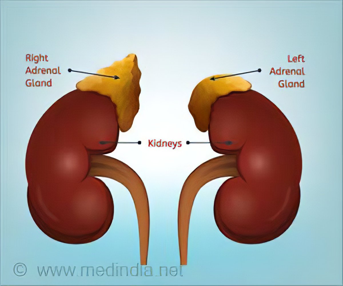 Adrenal gland disorders