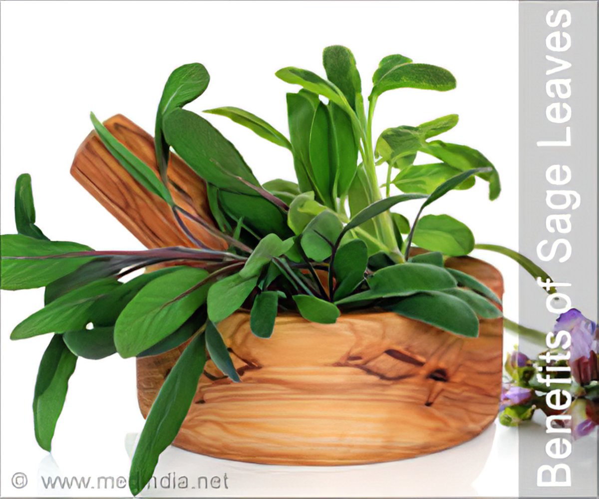 Benefits of Sage Leaves | Herbs and Health: Sage