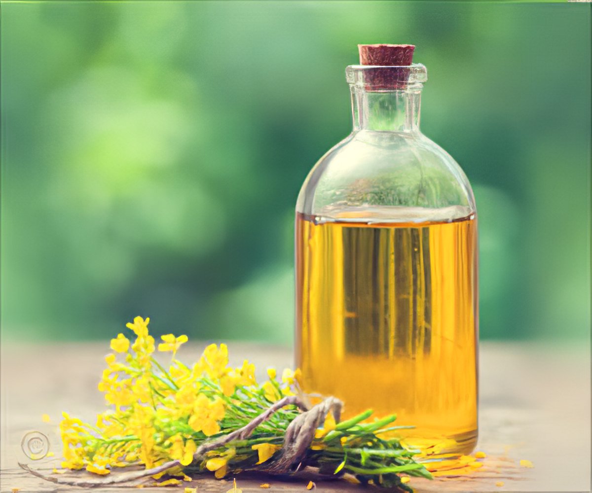 Is Canola Oil Healthy Benefits Harmful Effects