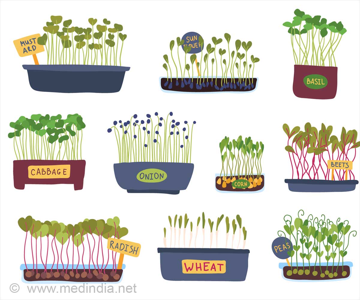 Health Benefits Of Microgreens