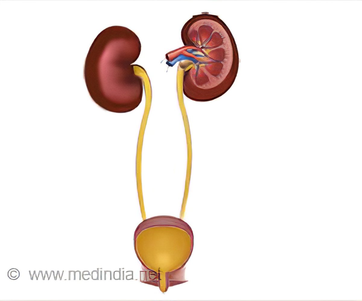 Lower Urinary Tract Obstruction: Diagnosis & Treatment