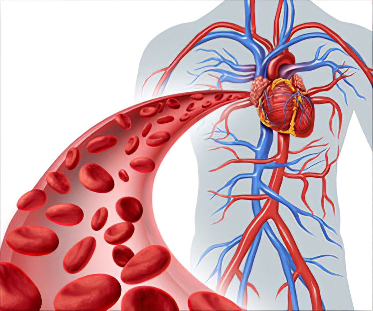 What Heart Problems Cause Poor Circulation