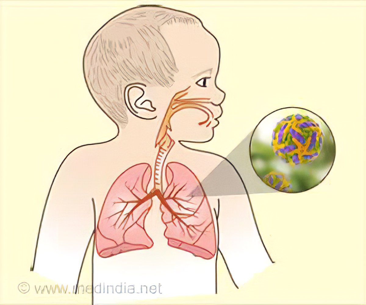 Syncytial virus