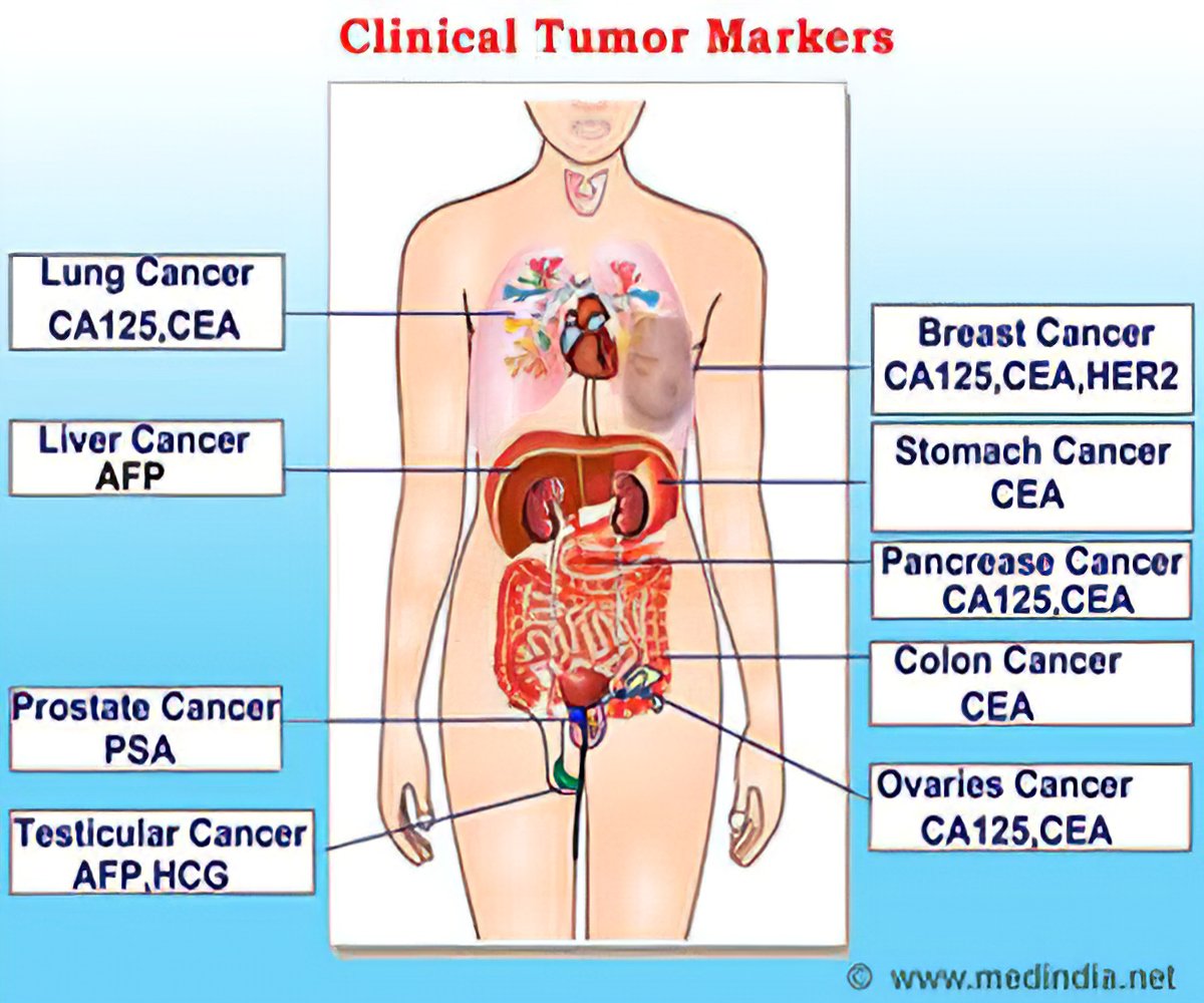 Abdominal cancer markers, Gastric cancer tumor markers