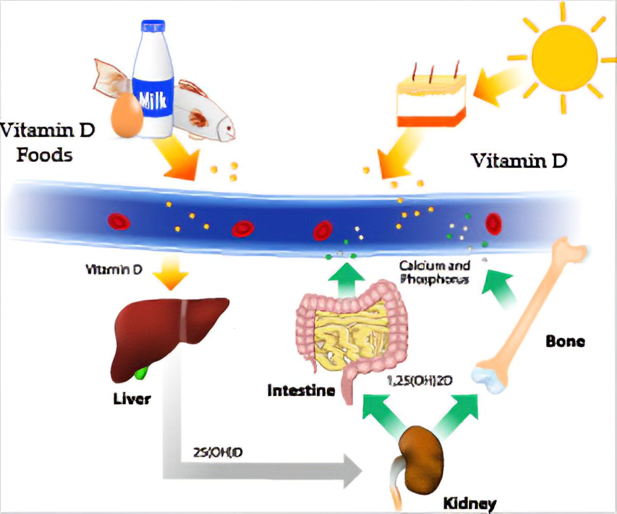 Vitamin D Deficiency - Causes, Symptoms, Diagnosis, Treatment