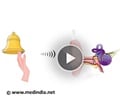 Anatomy of Ear and Hearing - Animation