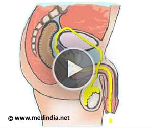 Sperm Journey