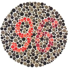 colour plate 36