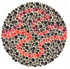 colour plate 38