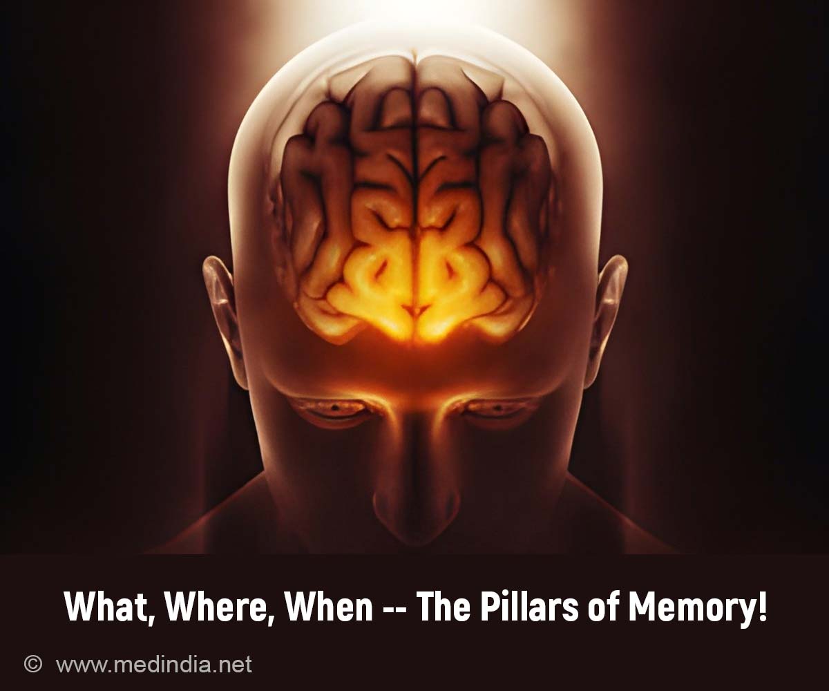 Understanding the 3 Ws of Memory Retention Understanding the 3 Ws of Memory Retention