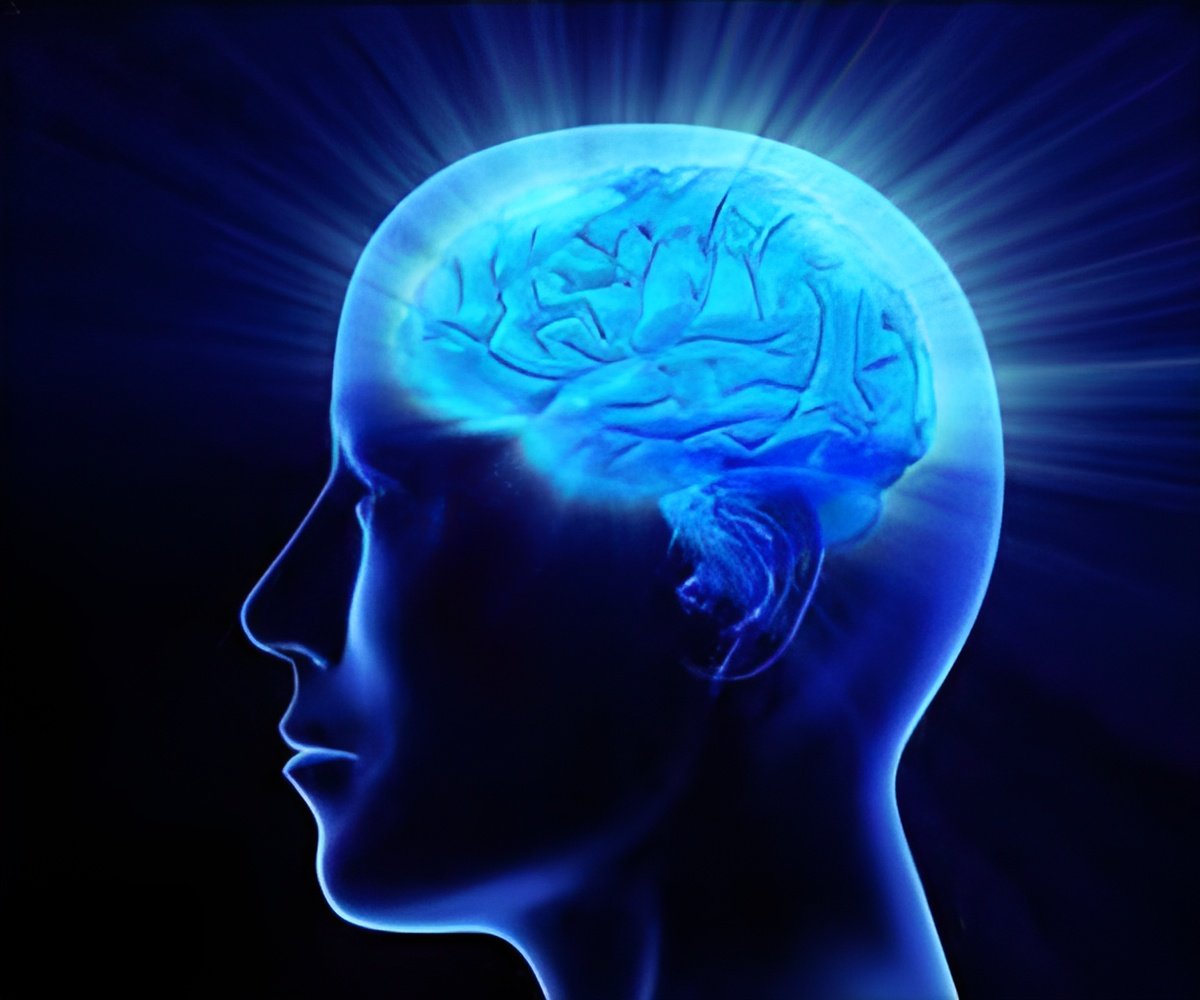 How Intellect and Behavior Emerge During Childhood Decoded How Intellect and Behavior Emerge During Childhood Decoded