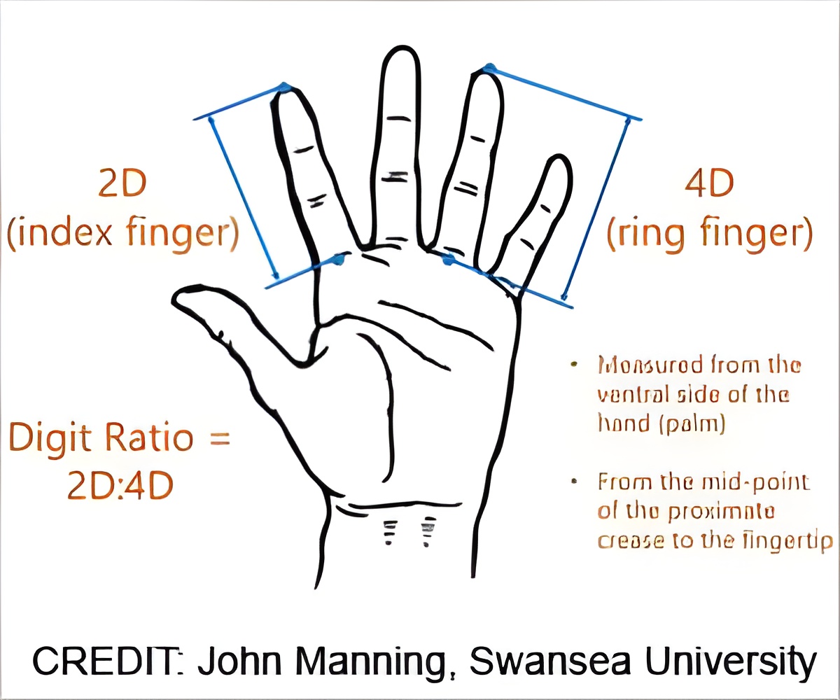 Thumb Index finger Ring finger Digit, Finger direction index finger thumb  transparent background PNG clipart | HiClipart