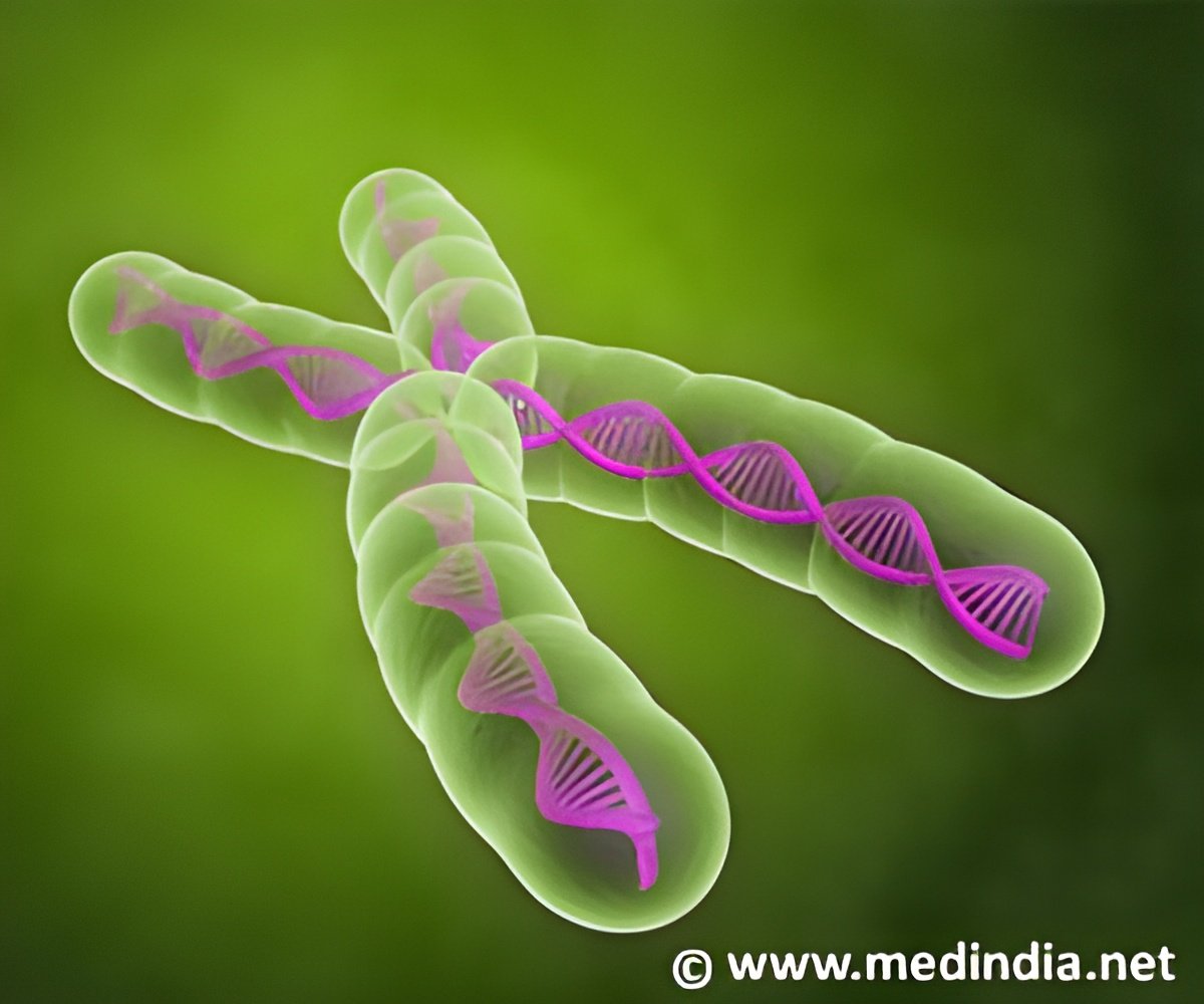 Chromosome Confusion Avoided by Cells Chromosome Confusion Avoided by Cells