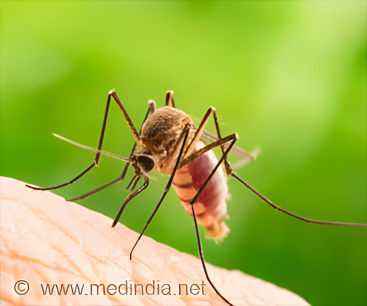 New Insights into Chikungunya Outbreak Patterns