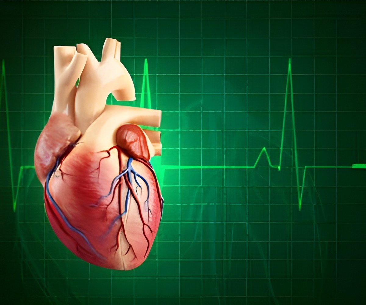 Fibrous skeleton of the heart: Anatomy and function | Kenhub