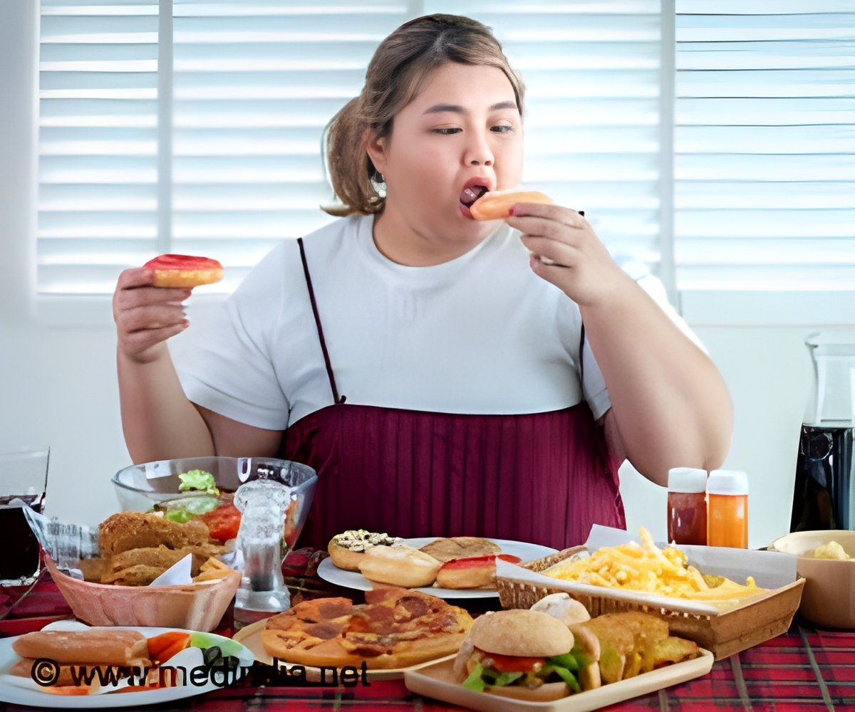 How a Excessive-Fats Weight loss plan Impacts Your Mind and Physique?