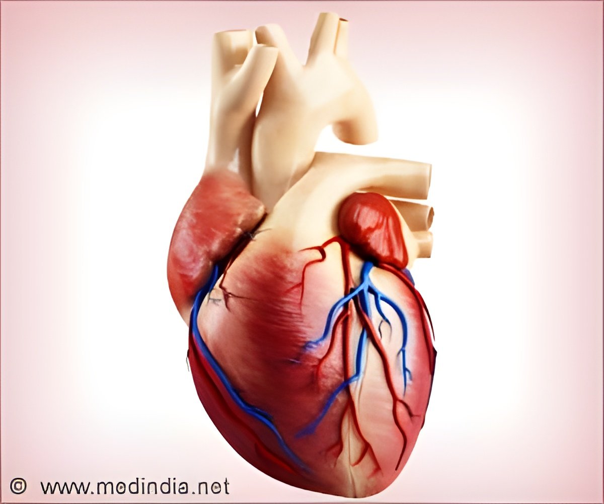 Female Chest with Heart Anatomy Reveled Stock Illustration