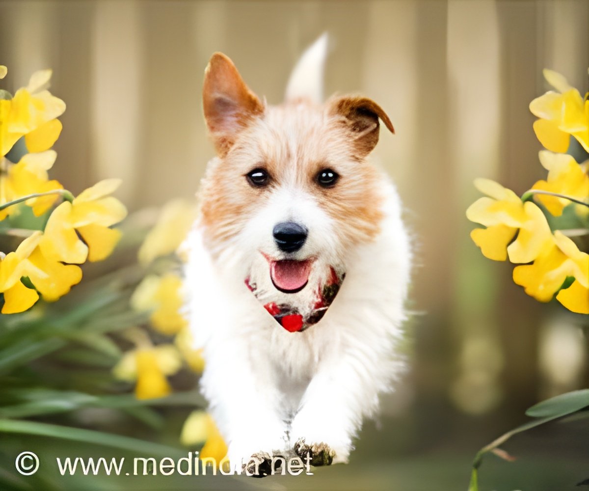 https://images.medindia.net/health-images/1200_1000/keep-your-furry-baby-chill.jpg