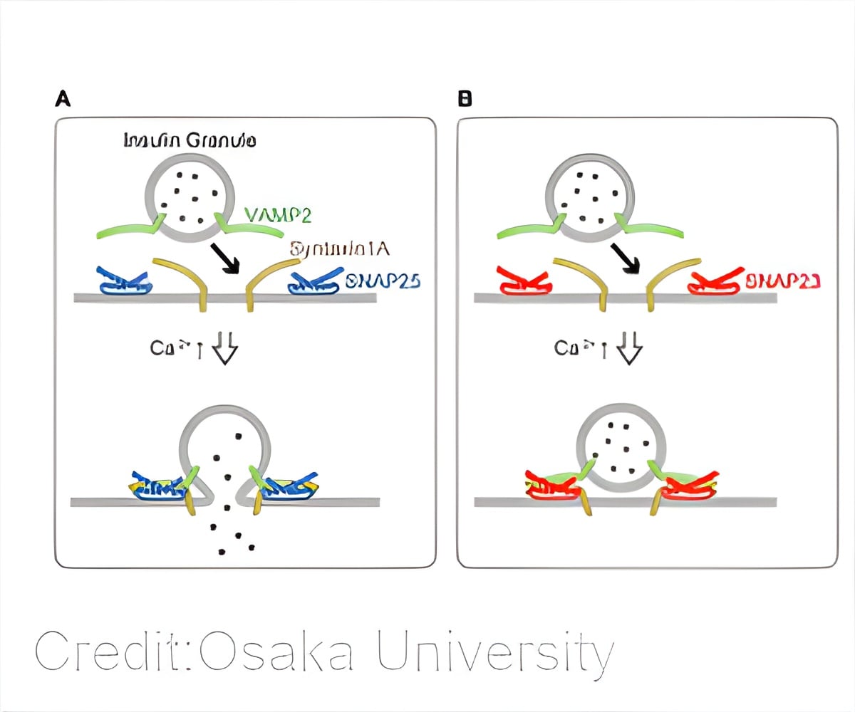 Culprit That Increases Aggressiveness of Colorectal Cancer Identified Culprit That Increases Aggressiveness of Colorectal Cancer Identified