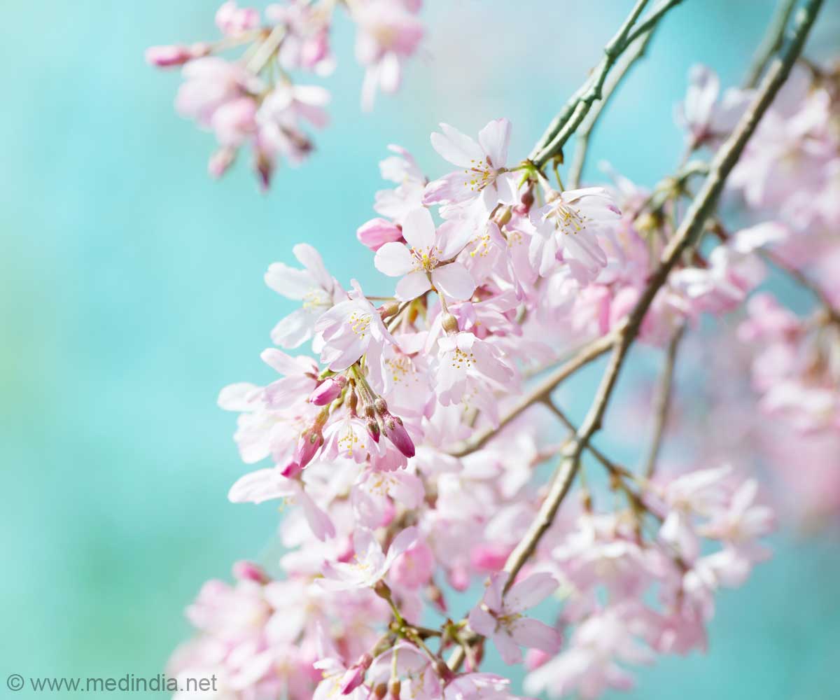 From Ouch to Aah: Does Nature Really Ease Pain From Ouch to Aah: Does Nature Really Ease Pain