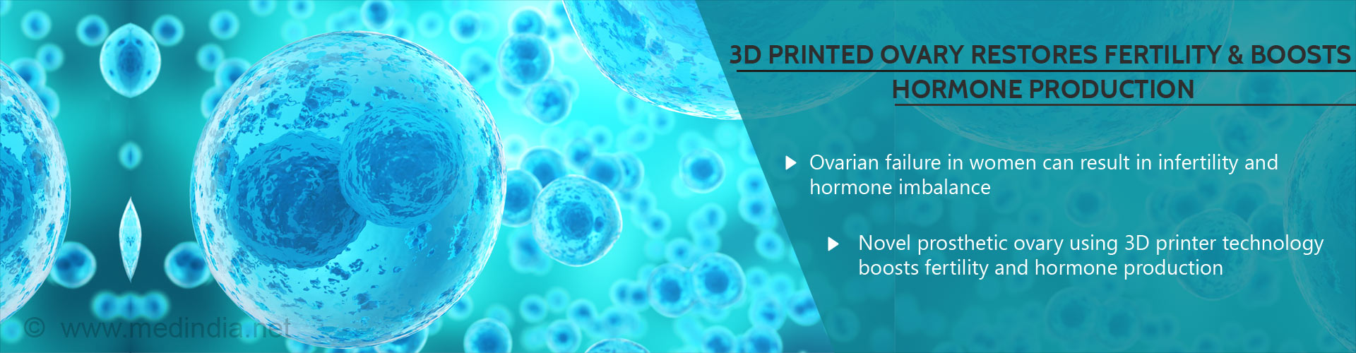 3D printed ovary restores fertility and boosts hormone production
- Ovarian failure in women can result in infertility and hormone imbalance
- Novel prosthetic ovary using 3D printer technology boosts fertility and hormone production