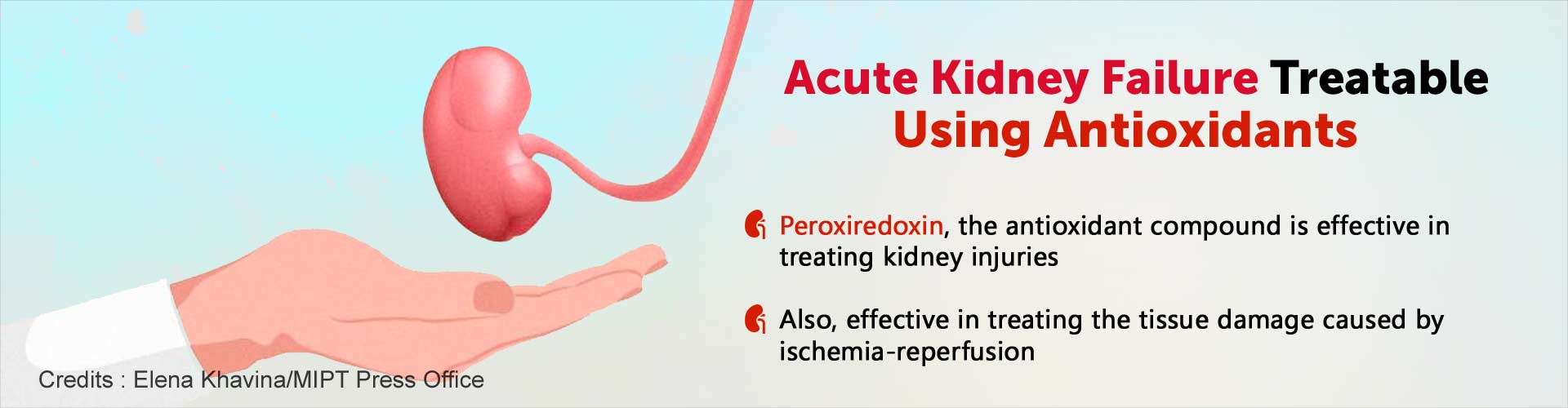Acute kidney failure treatable using antioxidants. Peroxiredoxin, the antioxidant compound is effective in treating kidney injuries. Also, effective in treating the tissue damage caused by ischemia-reperfusion.