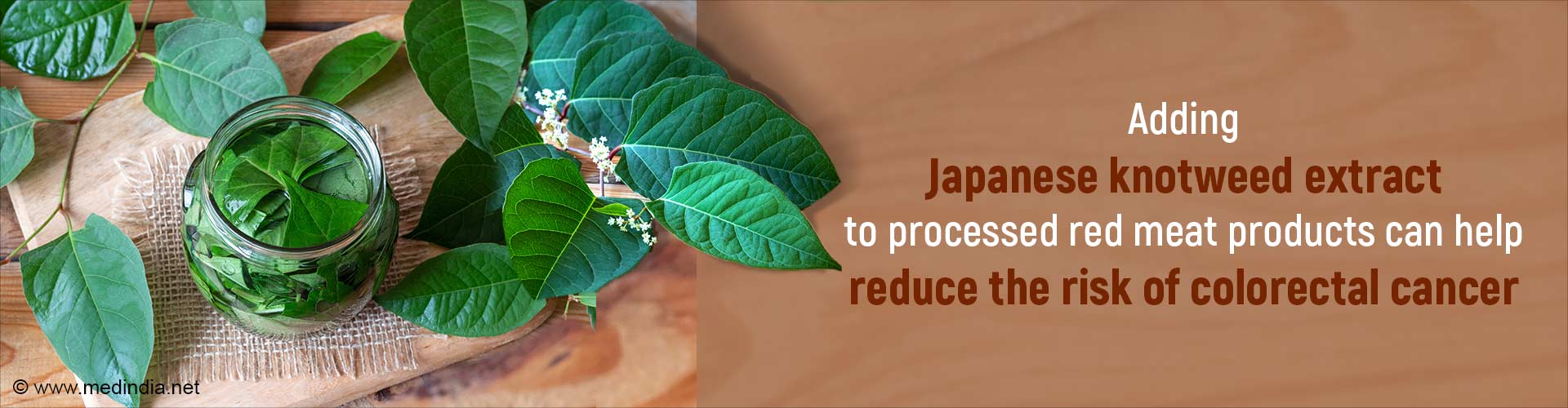 Japanese Knotweed Extract Could Cut Cancer Risk of Processed Meat: Study