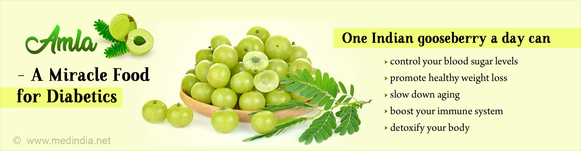 Amla - A miracle food for diabetics. One Indian gooseberry a day can control your blood sugar levels, promote healthy weight loss, slow down aging, boost your immune system and detoxify your body.