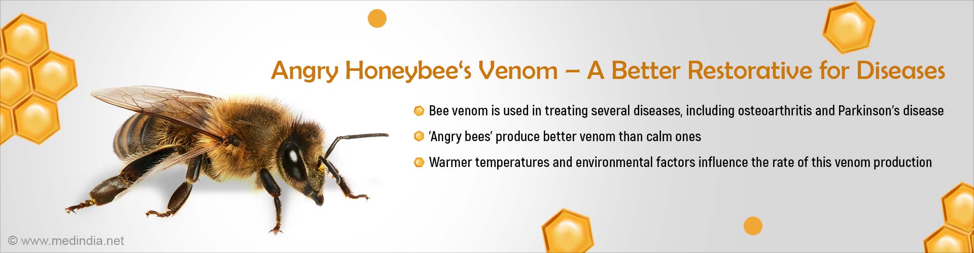 Bee Venom May Heal Osteoarthritis and Parkinson's Disease