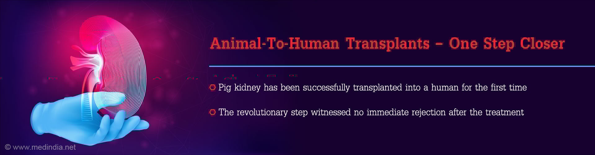First-Ever Successful Pig-To-Human Kidney Transplantation
