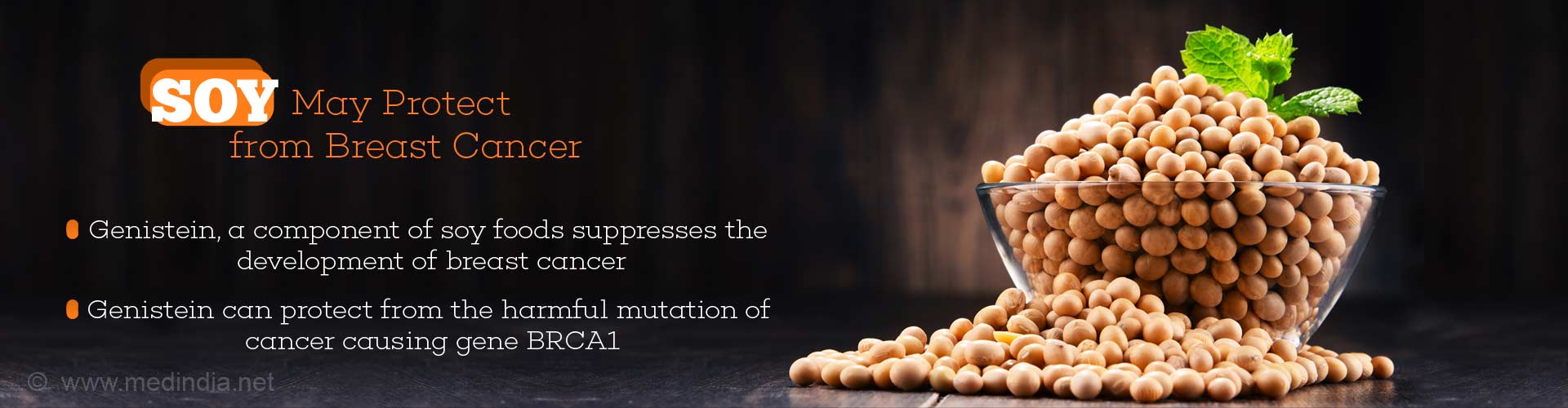 Soy may protect from breast cancer
- genistein, a component of soy foods suppresses the development of breast cancer
- genistein can protect from the harmful mutation of cancer causing gene BRCA1