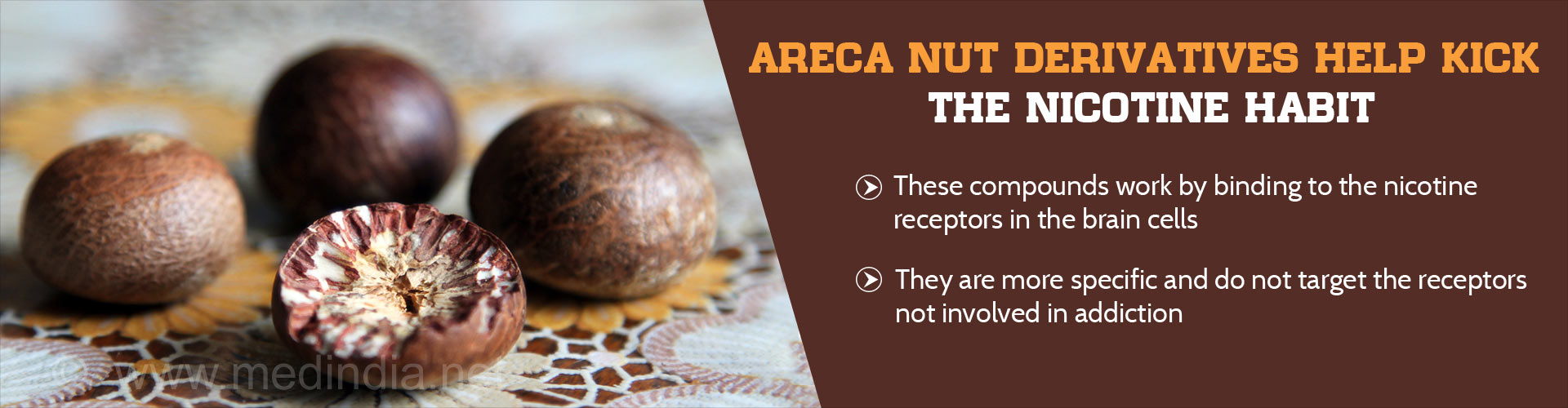 Areca Nut Derivatives Help Kick The Nicotine Habit
- These compounds work by binding to the nicotine receptors in the brain cells
- They are more specific and do not target the receptors not involved in addiction