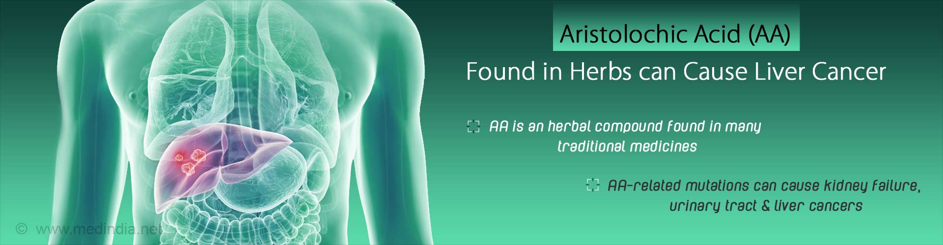 Aristolochic Acid (AA) found in herbs can cause liver cancer
- AA is an herbal compound found in many traditional medicines
- AA-related mutations can cause kidney failure, urinary tract and liver cancers