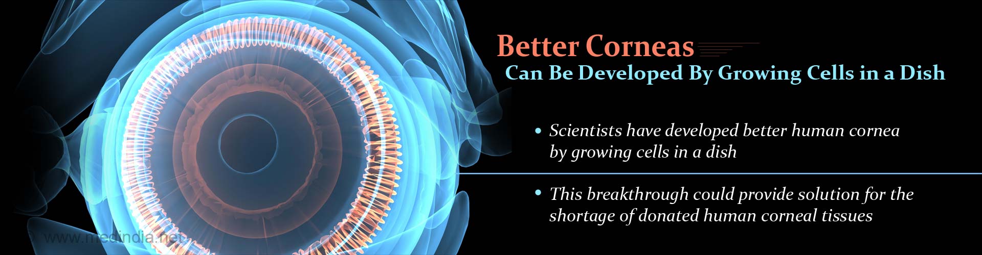 Better corneas can be developed by growing cells in a dish
- Scientists have developed better human cornea by growing cells ina  dish
- This breakthrough could provide solution for the shortage of donated human corneal tissues