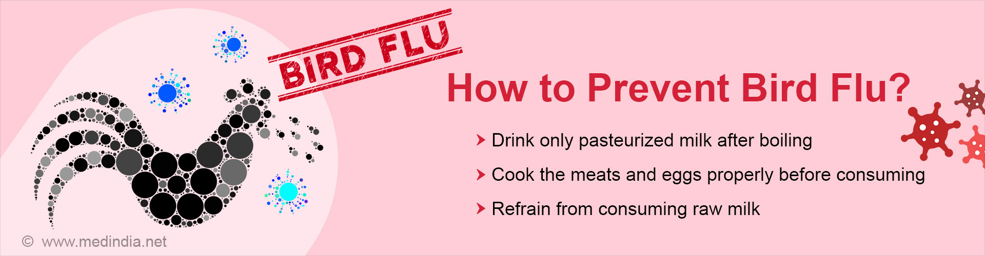 Bird Flu Outbreak in the US: Implications for Food Safety and Human Health
