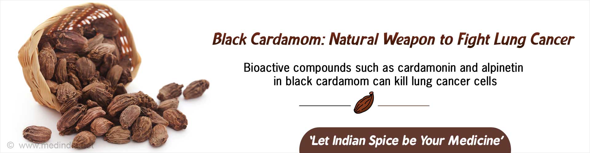 Black Cardamom: Indian Ayurvedic Spice Works Wonders in Lung Cancer Treatment