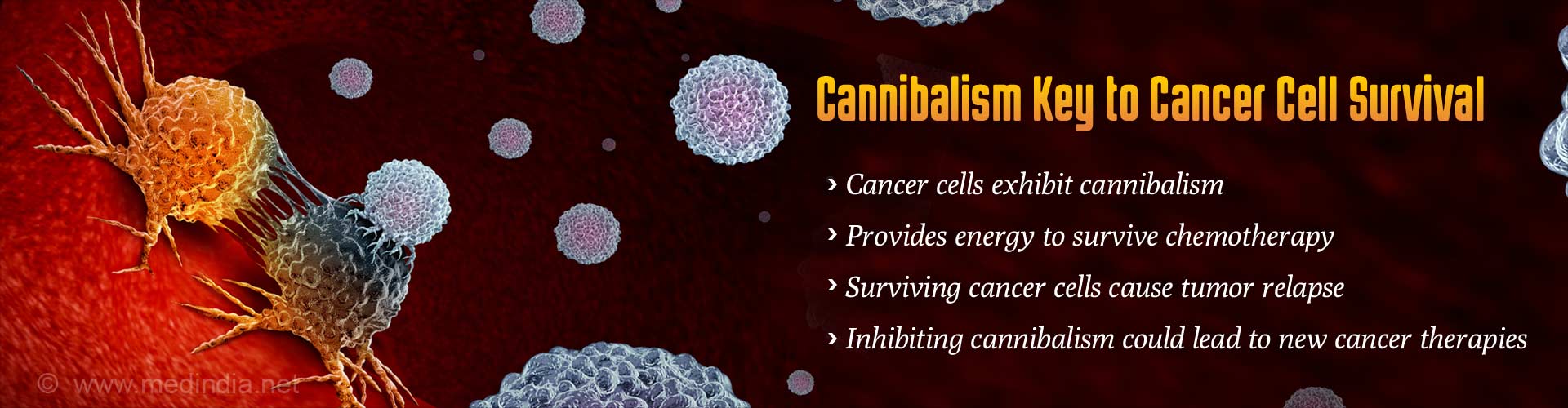 Cannibalism key to cancer cell survival.Cancer cells exhibit cannibalism.Provides energy to survive chemotherapy. Surviving cancer cells cause tumor relapse.Inhibiting cannibalism could lead to new cancer therapies