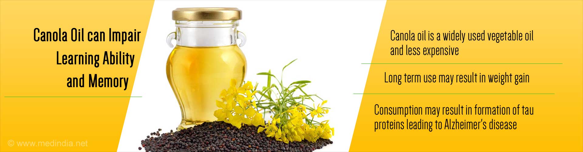 canola oil can impair learning ability and memory
- canola oil is a widely used vegetable oil and less expensive
- long term use may result in weight gain
- consumption may result in formation of tau proteins leading to Alzheimer's disease
