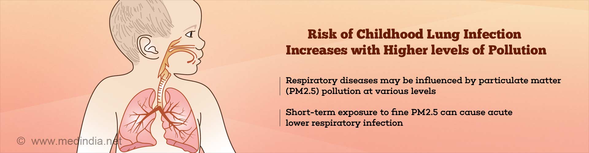 Risk of childhood lung infection increases with higher levels of pollution
- Respiratory disease may be influenced by particulate matter (PM2.5) pollution at various levels
- short-term exposure to fine PM2.5 can cause acute lower respiratory infection