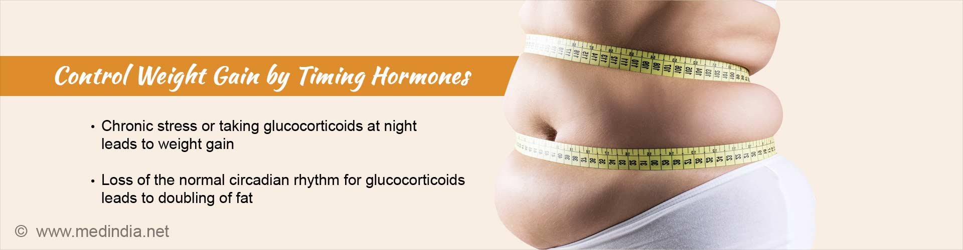 control weight gain by timing hormones
- chronic stress or taking glucocorticoids at night leads to weight gain
- loss of normal circadian rhythm for glucocorticoids leads to doubling of fat