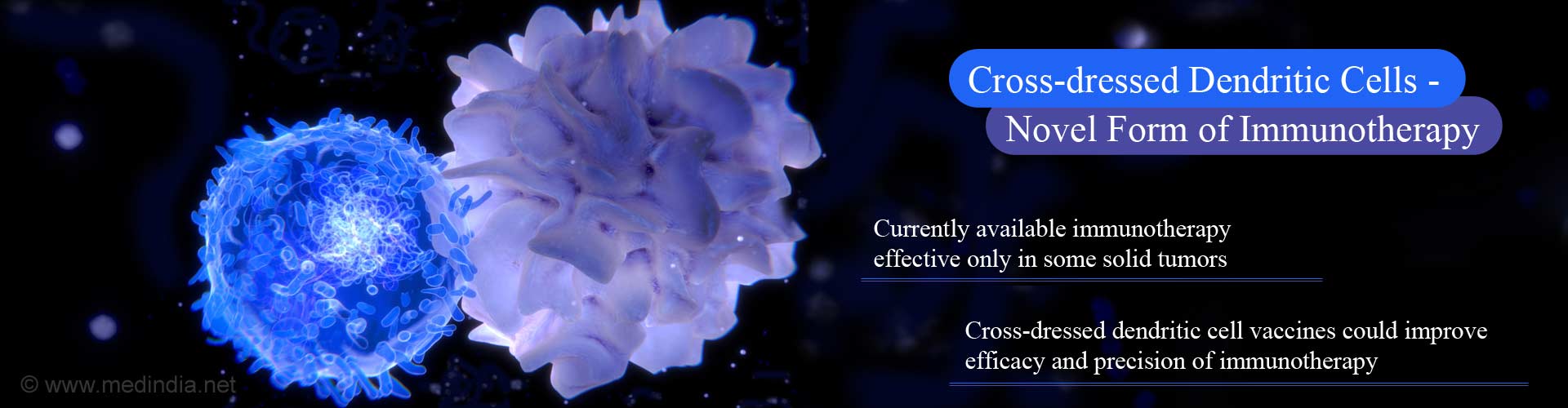 cross-dressed dendritic cells-novel form of immunotherapy
- currently available immunotherapy effective only in some solid tumors
- cross-dressed dendritic cell vaccines could improve efficacy and precision of immunotherapy
