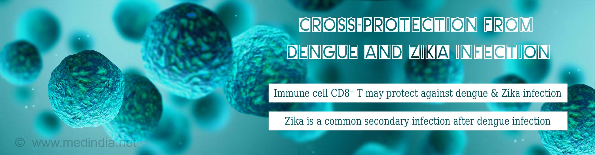 Cross-Protection From Dengue and Zika Infection